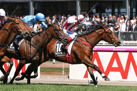 myer classic odds|Myer Classic .